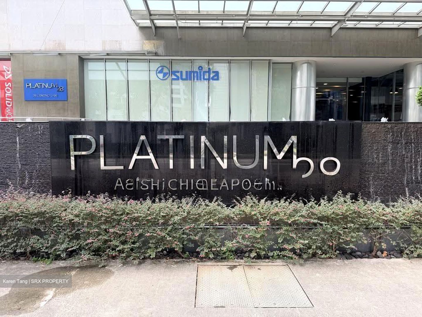 Platinum 28 (D13), Factory #622570111